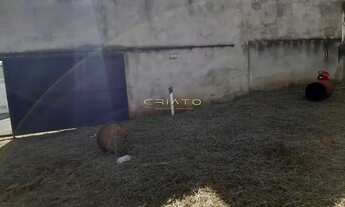 Imagem 4: Lote villa santa maria