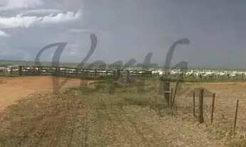 Imagem 5: Fazenda à Venda Região de Campo Novo do Parecis/MT