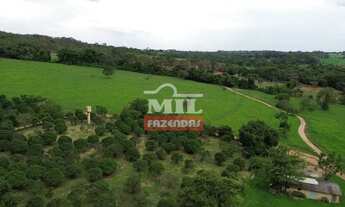 Imagem 4: Chácara 8 alqueires ( 38,72 hectares ) Aparecida de Goiânia - GO