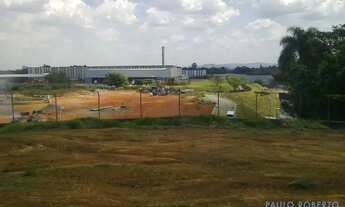 Imagem 3: AREA - LARANJA AZEDA - SP