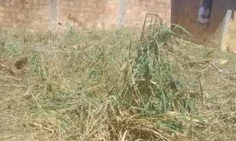 Imagem: Venda de terreno