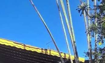 Imagem 5: ALUGUEL MOSQUEIRO/MURUBIRA