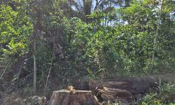 Imagem: Terreno em Iranduba a 20 min da ponte Rio