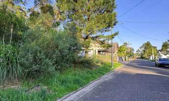 Imagem 6: Terreno - Bairro Carniel