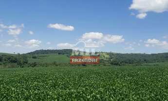 Imagem 4: Fazenda 31 alqueires (150 hectares) Silvania - GO