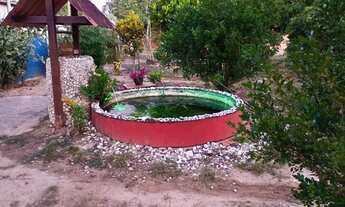 Imagem 6: Vendo sítio na Rua do Catu com 2 casas , 2.122m2 em Alagoinhas - BA