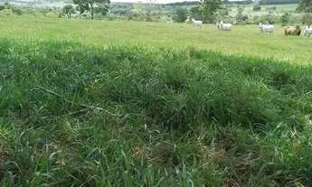 Imagem: Chácara de 3 alqueires em Adelandia-Go