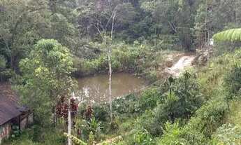 Imagem 2: Vendo sítio em Alfredo Chaves