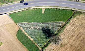 Imagem 2: Terreno com 1315 m² na Vila Santa Terezinha