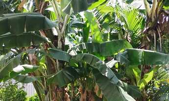 Imagem 7: Aluguel casa para temporada