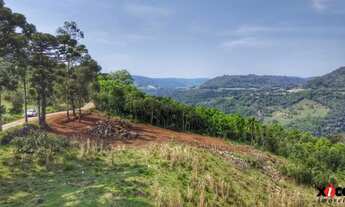 Imagem 7: Sítio / Chácara para Venda em Nova Petrópolis, Linha Brasil Fundos