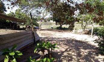 Imagem 7: Terreno em Ulisses Guimarães