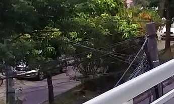 Imagem: Alugo Apto de frente