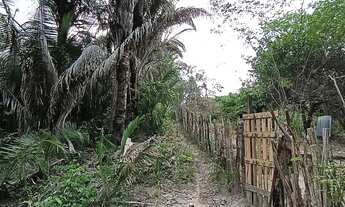 Imagem 4: Terreno Terreno / lote com venda por R$35.000