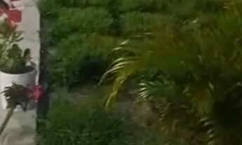 Imagem 2: Casas pra semana de carnaval em atapuz goiana