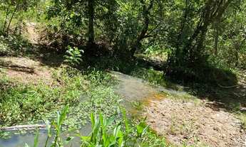 Imagem 5: Chácaras de 2mil mt em o trindade próxima do povoado de Santa Maria!