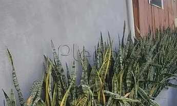 Imagem 4: Casa para alugar em Campinas, Nova Campinas, com 5 quartos, com 220.9 m²