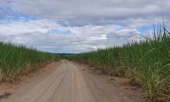 Imagem: Fazenda 44 alqueires Cana de Açúcar