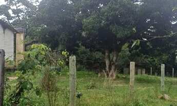 Imagem 4: Fazenda Chácara com venda por R$950.000