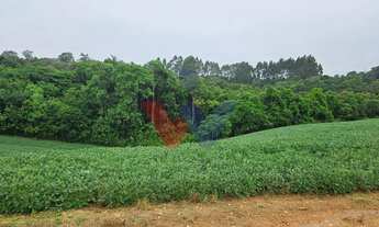 Imagem 4: Área de 79.000 m com 41.000 m mecanizados perfeita para cultivo ou projetos sustentáveis