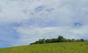 Imagem 3: Oportunida unica no interior de SP - 500 - Ibiuna