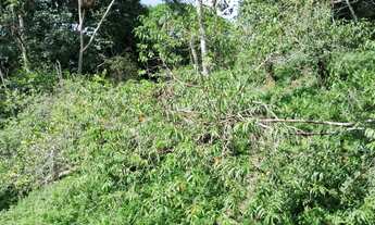 Imagem 5: Chacara 5 mil mts registrada apenas 180 milreais