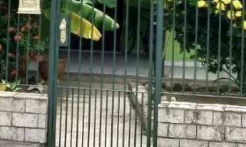 Imagem: Ótima Casa para venda em Iguaba Grande/RJ