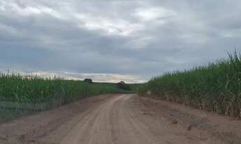 Imagem 6: Fazenda 44 alqueires Cana de Açúcar - Piracicaba SP