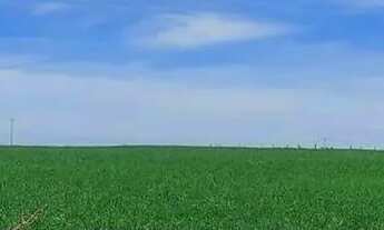 Imagem 3: Lapa, 50 alqueires, à 28 km da cidade, 121 hectares, plantando 17 alqueires, CAR, mapa top