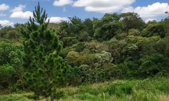 Imagem: Imóvel para venda possui 1000 metros quadrados