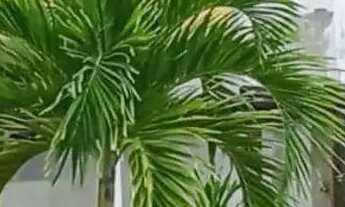 Imagem 2: Casa solta em condomínio, 4/4 sendo 03 suítes, armários na cozinha e banheiro R$ 3.600