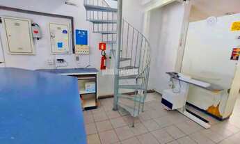 Imagem 3: Alto da Lapa loja 130m util