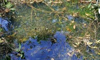 Imagem 6: CHACARA FORMADA. PORTEIRA FECHADA