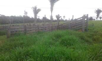 Imagem 4: Terra de 46 alqueiros na vicinal 3 barracas 30 de pastagem cercada, etc