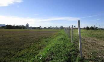 Imagem 7: Terreno para loteamento rodovia BR101