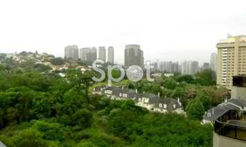 Imagem 5: São Paulo - Apartamento Padrão - Real Parque
