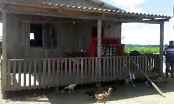 Imagem 2: Vendo esta chácara depois do bujari