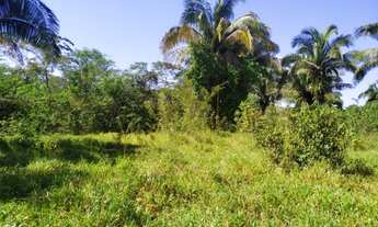 Imagem 5: Fazenda / chácara