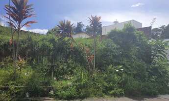 Imagem: Vendo Lote no Residencial Bosque das Palmas