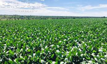 Imagem 7: Fazenda 640 hectares em joão pinheiro 30.000.000