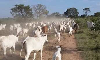 Imagem: FAZENDA EM JOÃO PINHEIRO 1.420 HECTARES