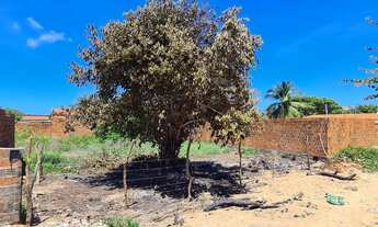 Imagem 2: Terreno Paracuru 15x30