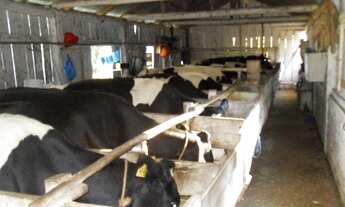 Imagem 6: Sítio para Venda