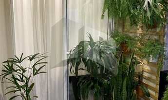 Imagem 7: SãO PAULO - Padrão - Vila Mascote