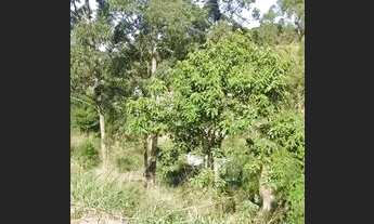 Imagem 3: Terreno à Venda na Av Doutor Mauro Lindemberg Monteiro