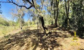 Imagem 4: Terreno a Venda em Mairiporã.(Terra preta)