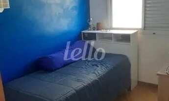 Imagem 7: São Paulo - Casa Padrão - Penha