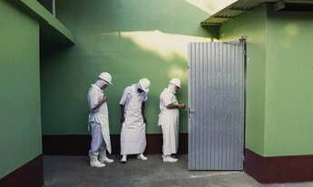 Imagem 6: Abatedouro - Frigorifico de Suínos