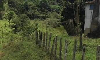 Imagem 3: Fazenda Bela Vista