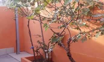 Imagem 6: Casa psul 4 qts Casa com 4 dormitórios